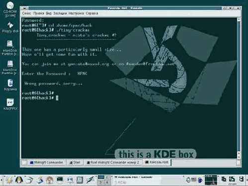 tiny-crackme   