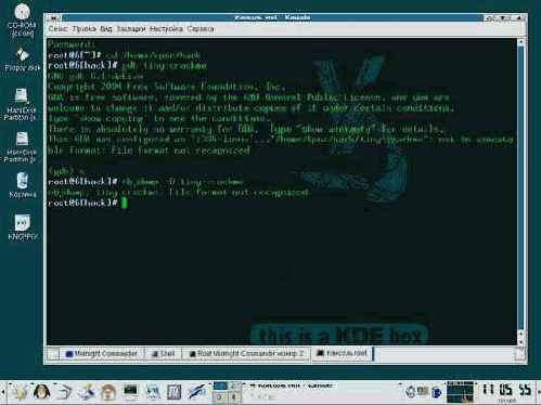  tiny-crackme   
