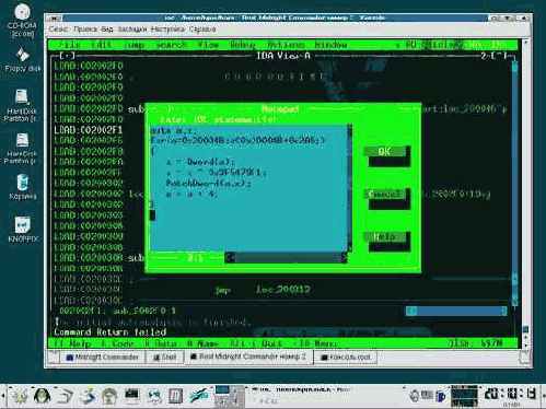  tiny-crackme   