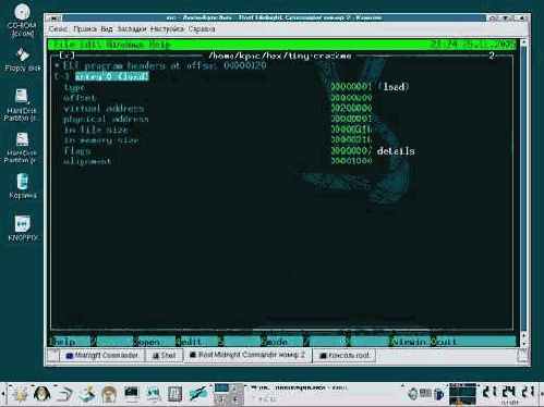  tiny-crackme   