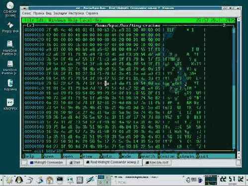  tiny-crackme   
