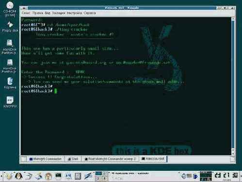  tiny-crackme   